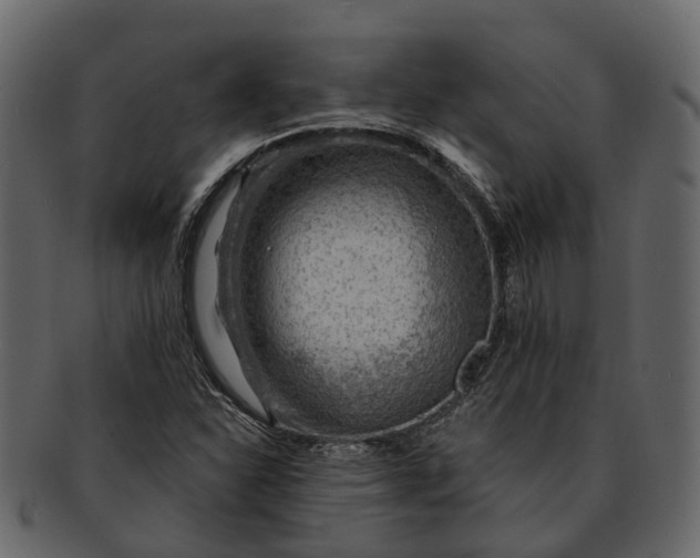 X0000093111310200710171214