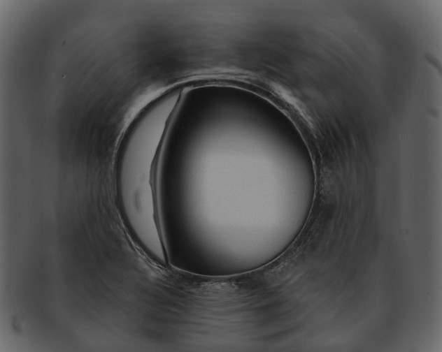 X0000093111320200710171214