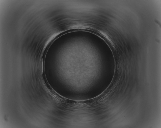 X0000093111323200710171214