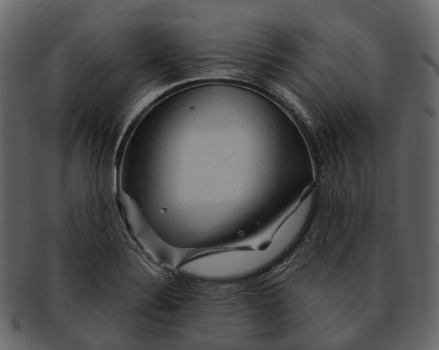 X0000093111324200710171214