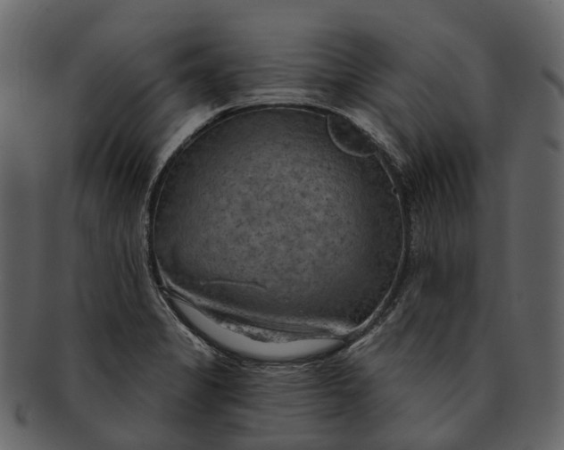 X0000093111325200710171214