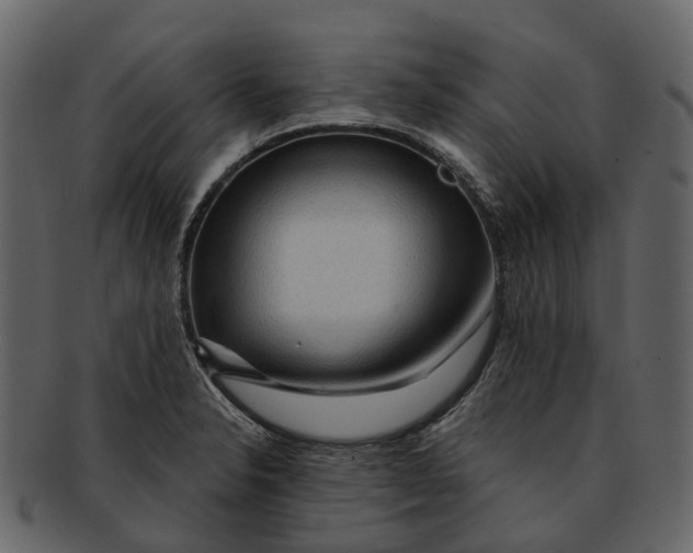 X0000093111326200710171214