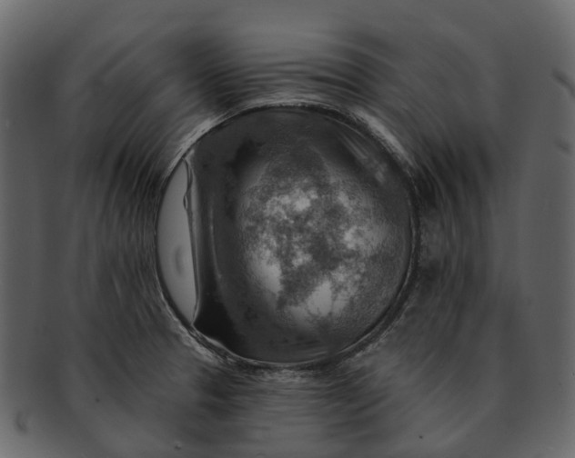 X0000093111329200710171214