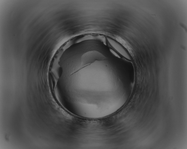 X0000093111334200710171214