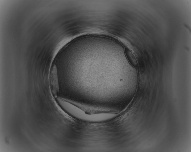 X0000093111335200710171214