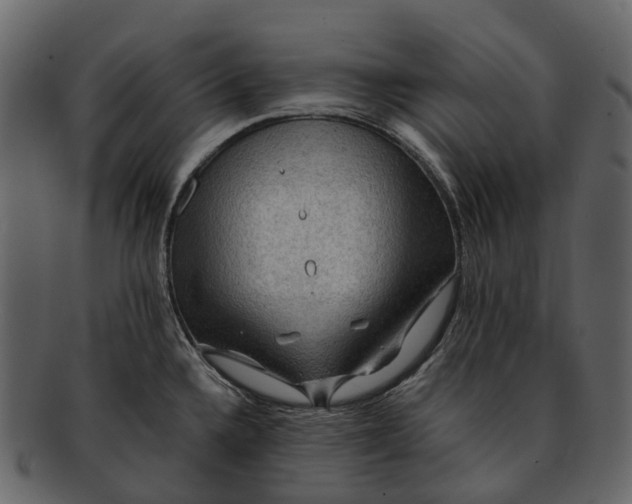 X0000093111336200710171214