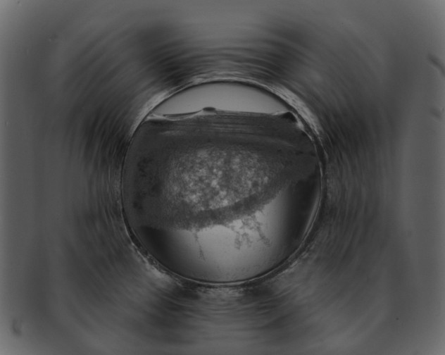 X0000093111337200710171214