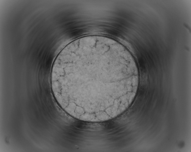 X0000093111338200710171214