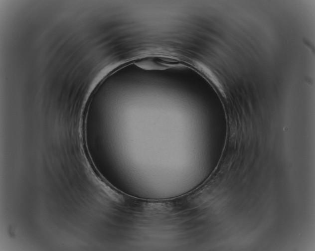 X0000093111339200710171214