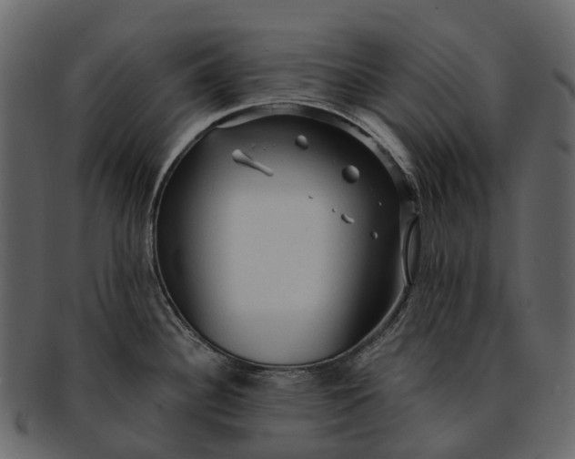 X0000093111340200710171214