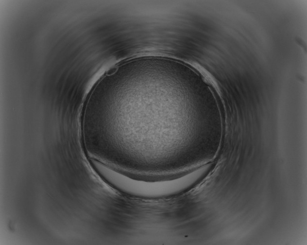 X0000093111341200710171214