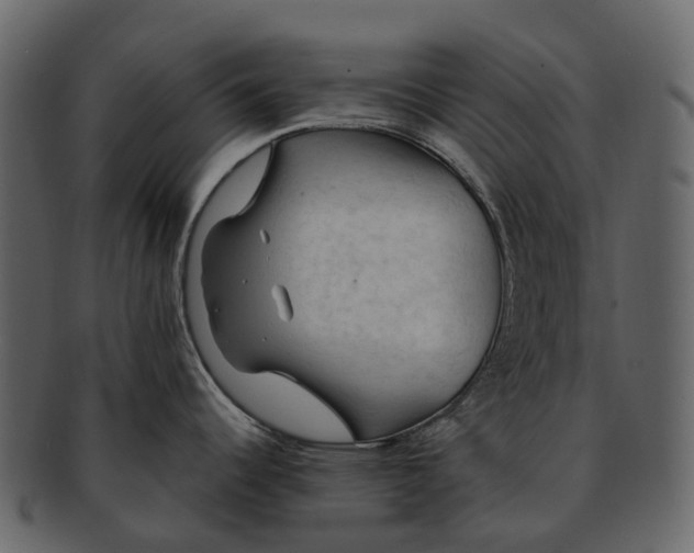 X0000093111344200710171214