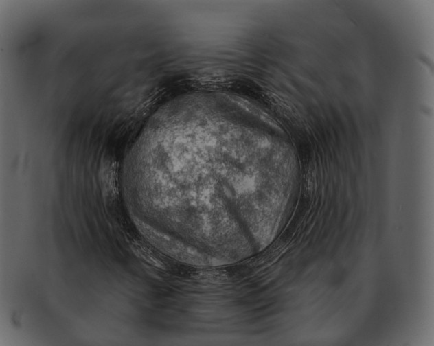 X0000093111346200710171214