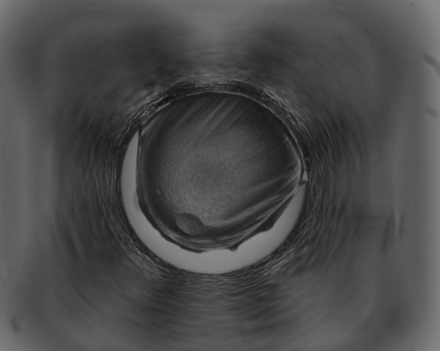 X0000093111348200710171214