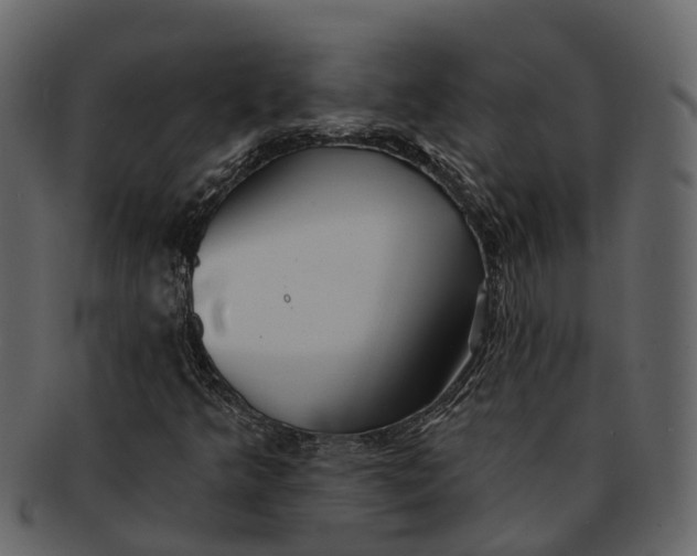 X0000093111349200710171214