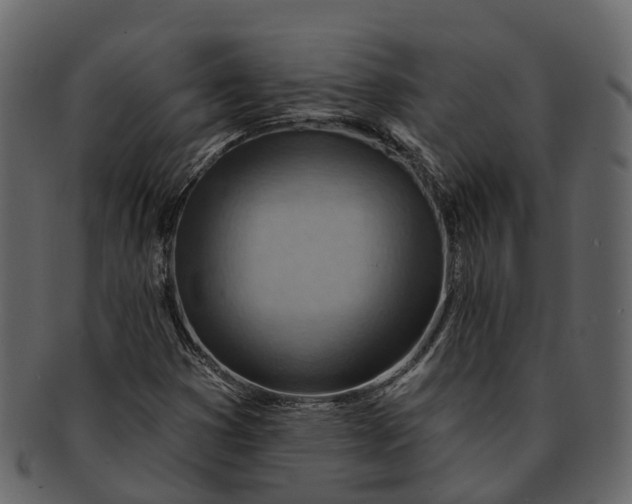 X0000093111353200710171214