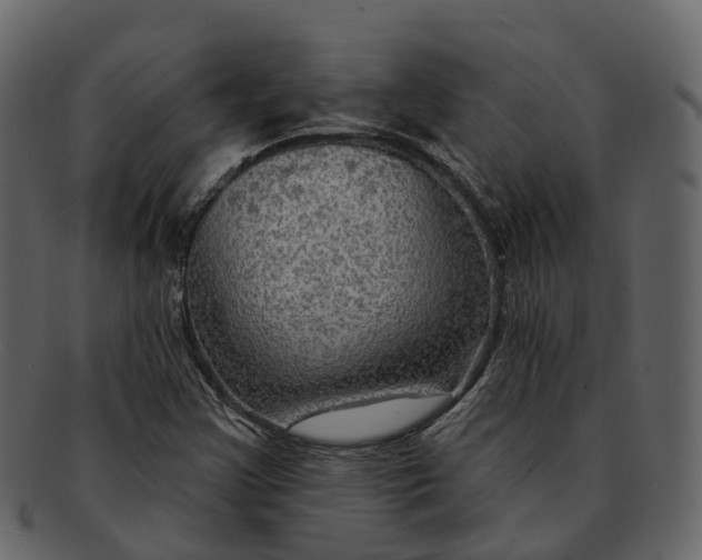 X0000093111355200710171214