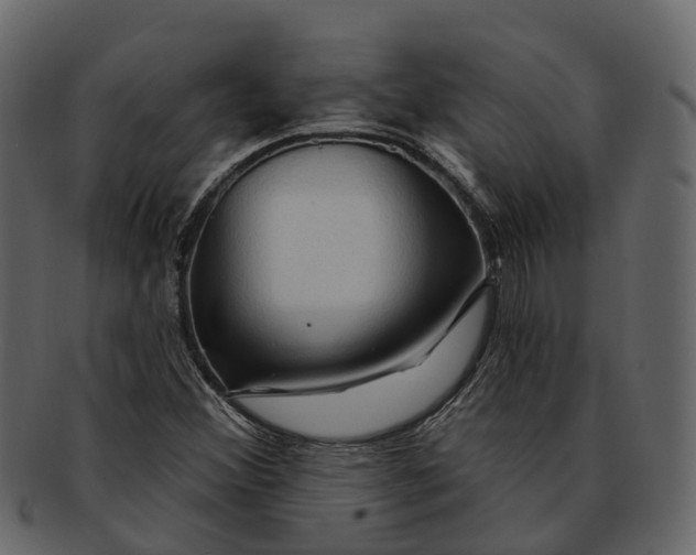 X0000093111356200710171214