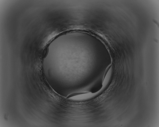 X0000093111359200710171214