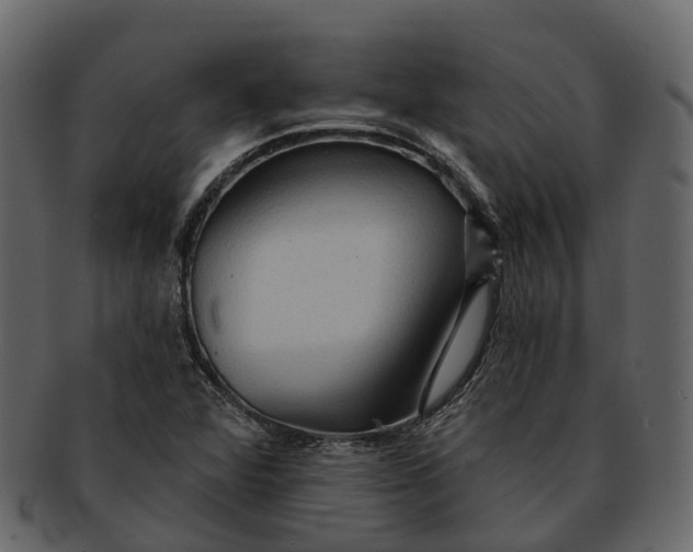 X0000093111360200710171214