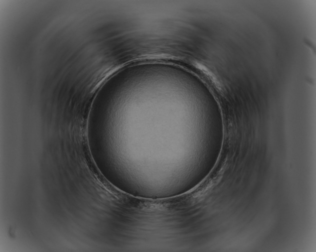 X0000093111361200710171213