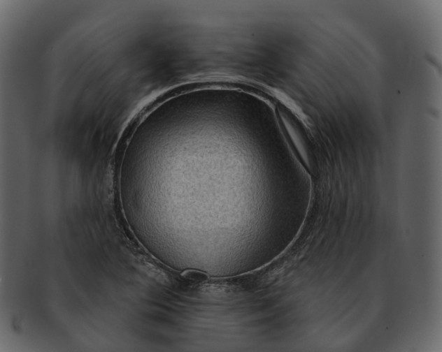 X0000093111364200710171213