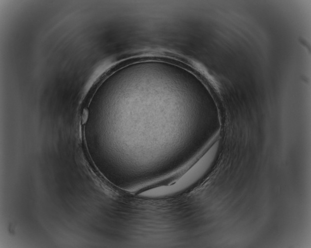 X0000093111368200710171213