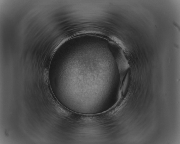 X0000093111369200710171213