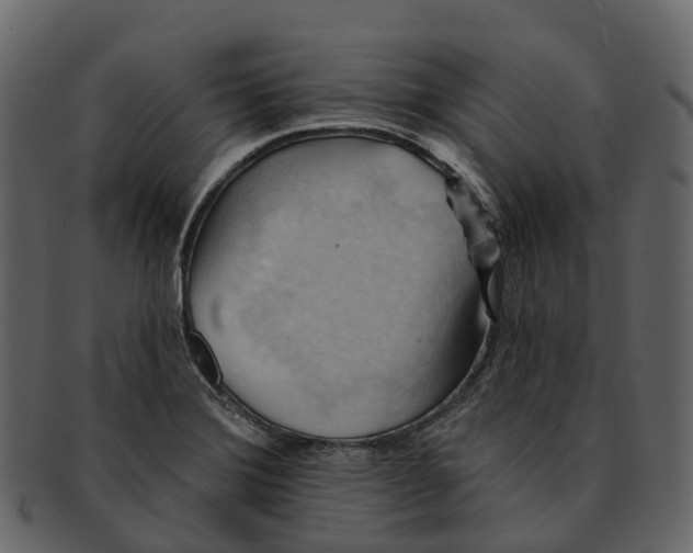 X0000093111372200710171213