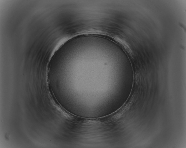 X0000093111374200710171213