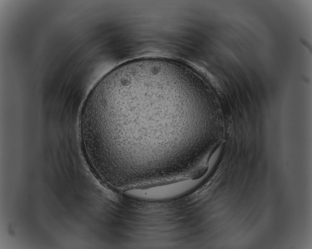 X0000093111375200710171213