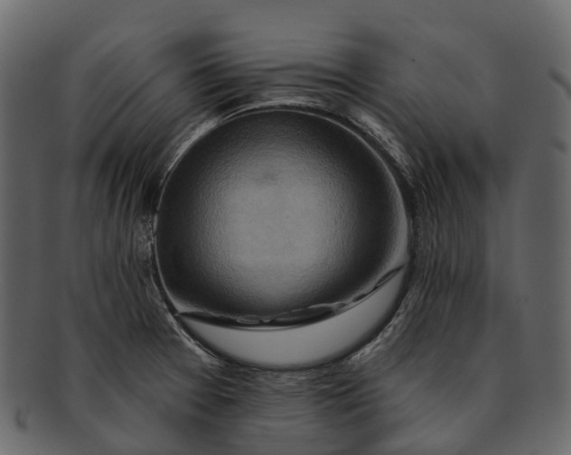 X0000093111377200710171213