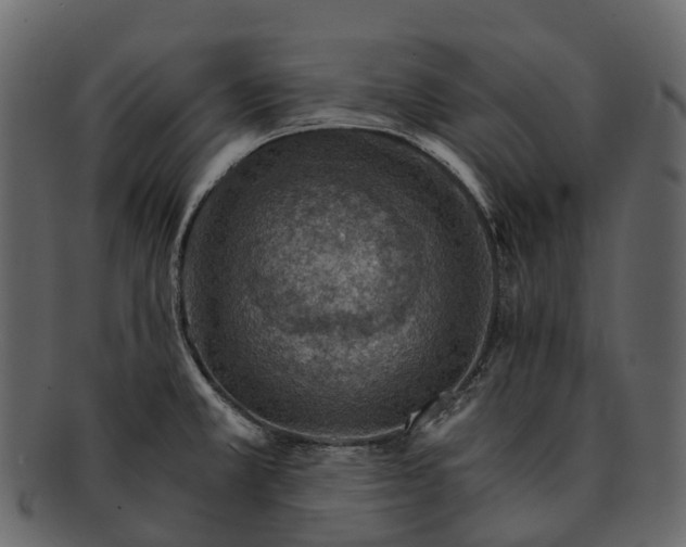 X0000093111381200710171213