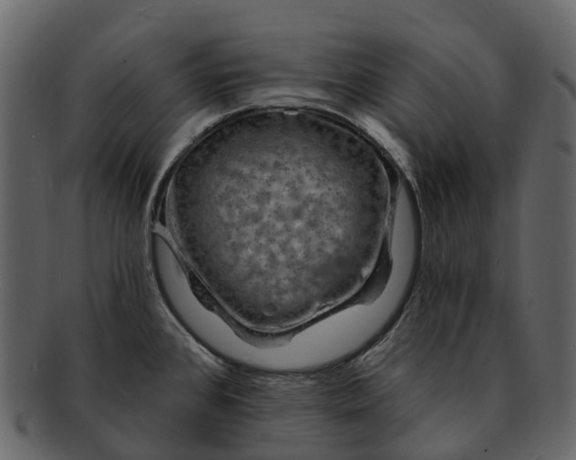 X0000093111384200710171213