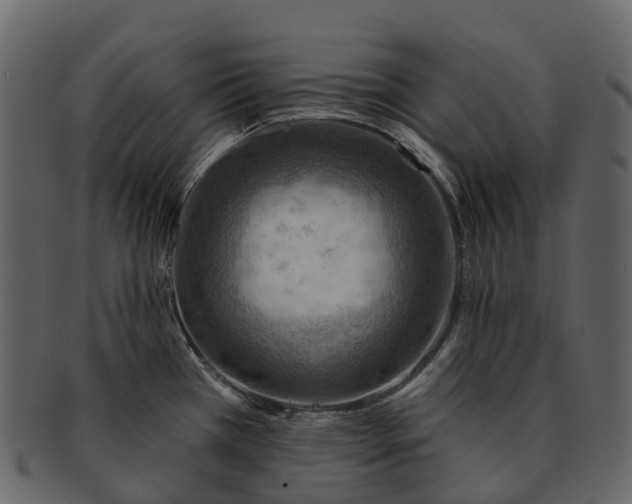 X0000093111385200710171213