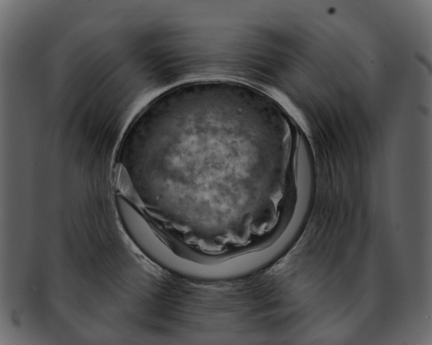 X0000093111388200710171213