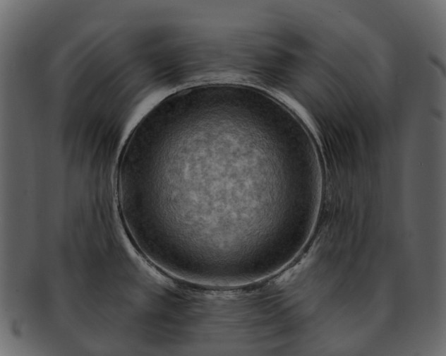 X0000093111389200710171213