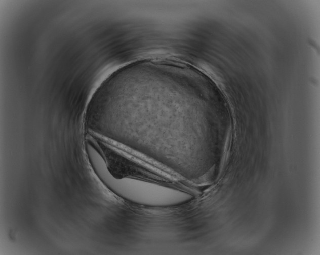 X0000093111392200710171213