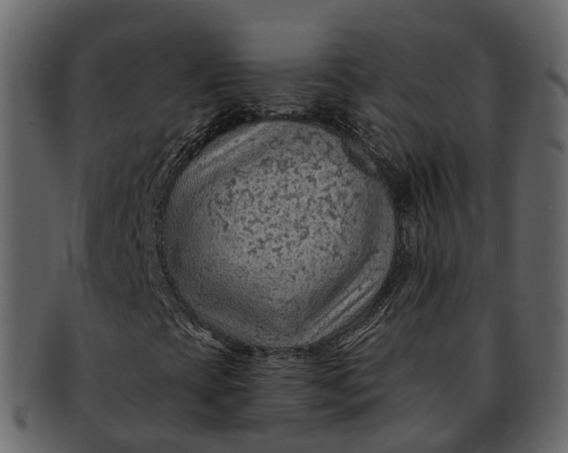 X0000093111393200710171212