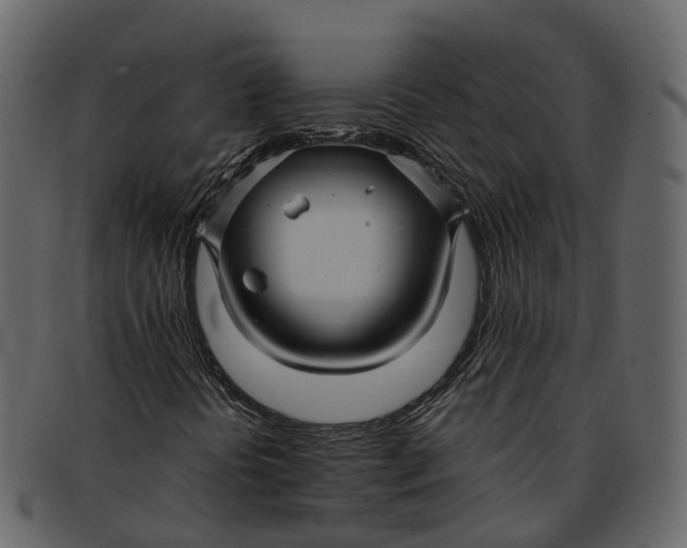 X0000093111394200710171212