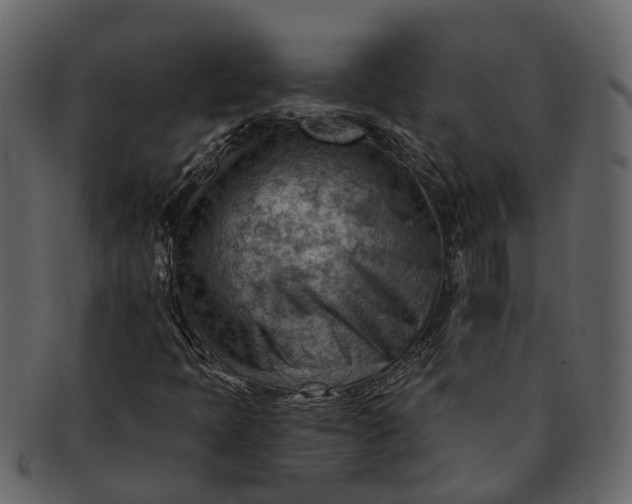 X0000093111397200710171212