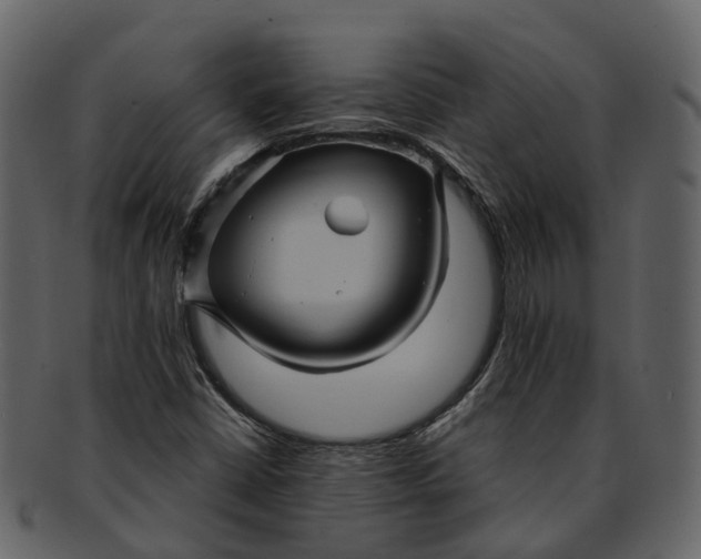 X0000093111402200710171213