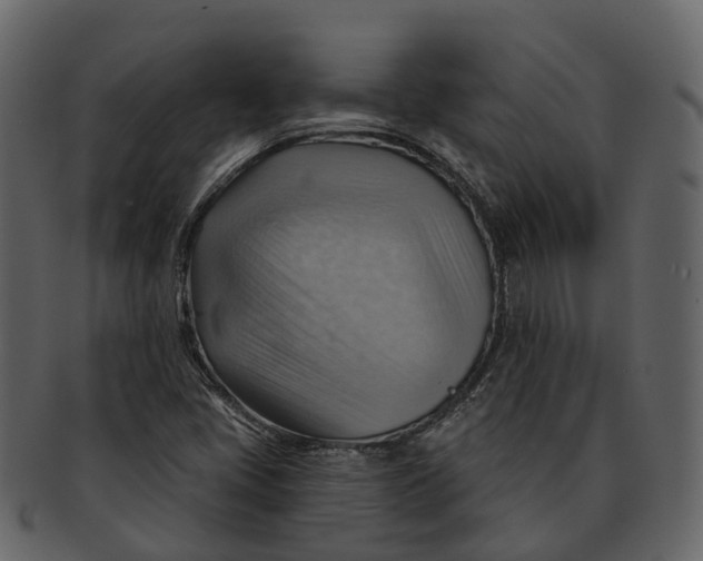 X0000093111405200710171213