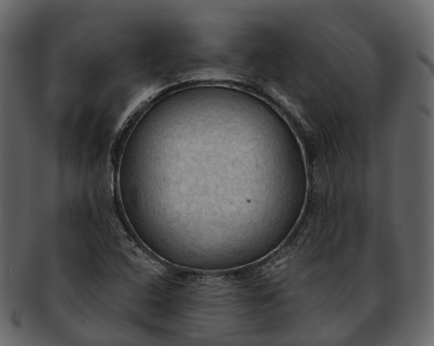 X0000093111408200710171213