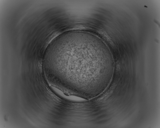 X0000093111409200710171213