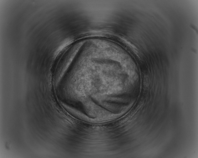 X0000093111411200710171213