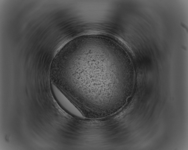 X0000093111417200710171213