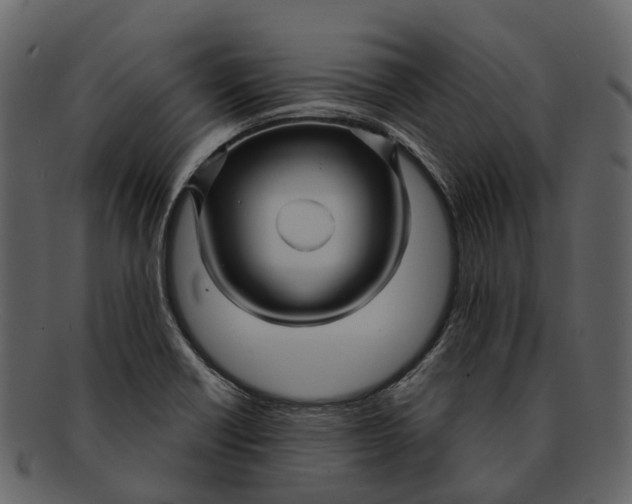 X0000093111418200710171213