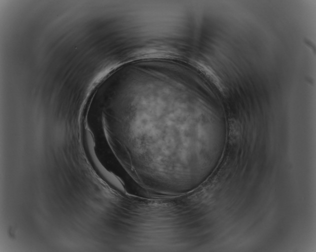 X0000093111419200710171213