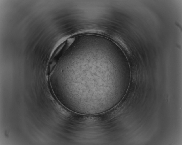 X0000093111420200710171213